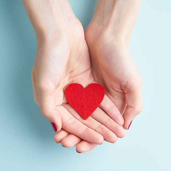 内科医による徹底した安全管理と「血液検査」